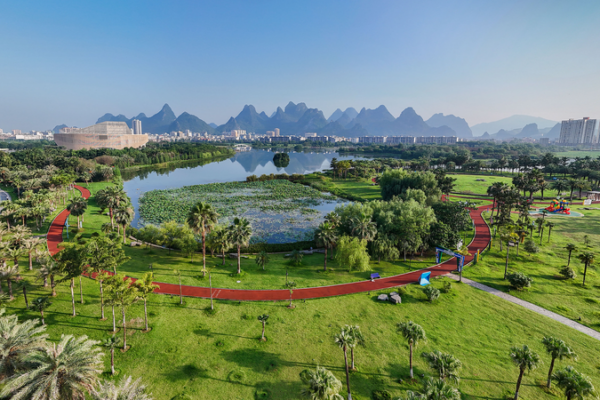 China Plants a Greener Future: 8.47M Hectares Restored in 2025 🌱🌍