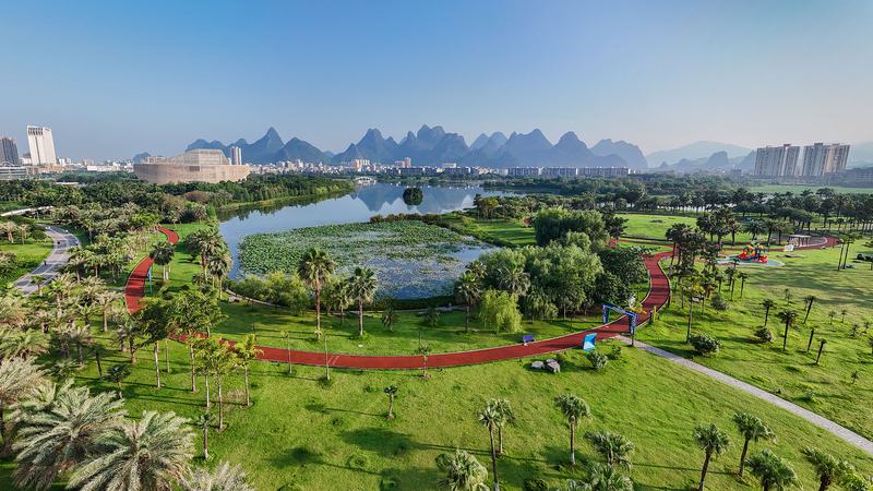 China Plants a Greener Future: 8.47M Hectares Restored in 2025 🌱🌍