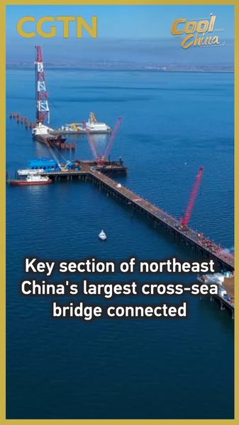 Changhai Cross-Sea Bridge Hits Major Milestone in Northeast China 🌉 video poster