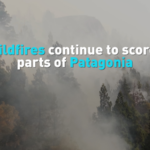 Patagonia Wildfires Intensify: Ancient Forests at Risk 🌲🔥 video poster