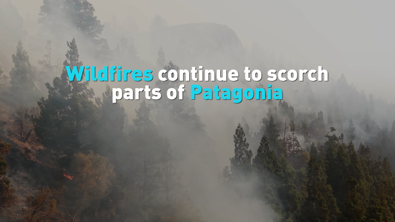 Patagonia Wildfires Intensify: Ancient Forests at Risk 🌲🔥 video poster