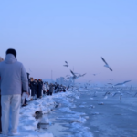 Frozen Waves Transform Qinhuangdao Coast Into Winter Wonderland ❄️🌊 video poster