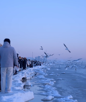 Frozen Waves Transform Qinhuangdao Coast Into Winter Wonderland ❄️🌊 video poster
