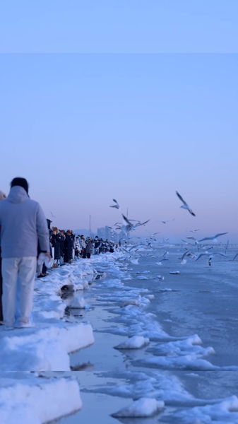 Frozen Waves Transform Qinhuangdao Coast Into Winter Wonderland ❄️🌊 video poster