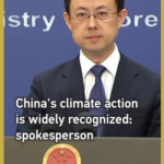 China's Climate Efforts Gain Global Praise 🌍💨 video poster