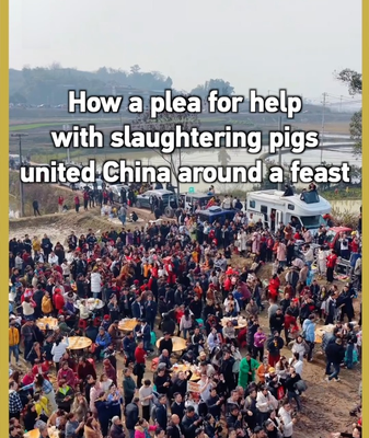 Viral Pig Slaughter Plea Unites China in Cultural Feast 🐷🎉 video poster