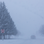 M54F78HBUHMCB1OP0M95 - 🌍NewspaperAmigo – Your Global News Buddy 🗞️ ❄️ Winter Wallop: 14 U.S. States Declare Emergency as Massive Storm Hits