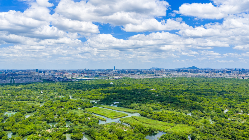 Hangzhou Shines as UN's Top Zero-Waste City in 2026 🌱🏙️