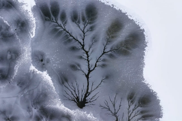 Xinjiang's Ice Trees: Nature's Winter Masterpiece ❄️🌳 video poster