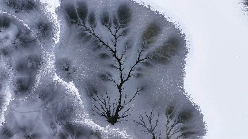Xinjiang's Ice Trees: Nature's Winter Masterpiece ❄️🌳 video poster