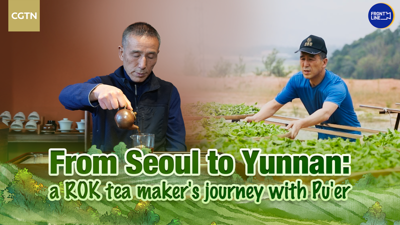 From Seoul to Yunnan: A ROK Tea Master’s 20-Year Pu’er Journey 🌱✨ video poster
