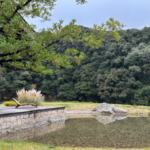 Lijiang’s Hidden Gem: Where Time Slows Down 🌿✨