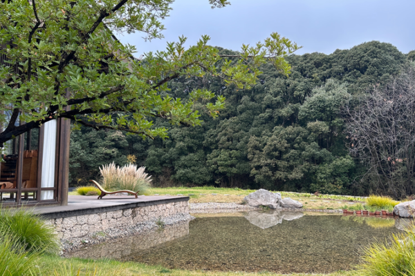 Lijiang’s Hidden Gem: Where Time Slows Down 🌿✨