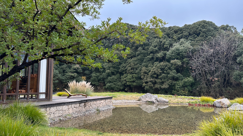 Lijiang’s Hidden Gem: Where Time Slows Down 🌿✨