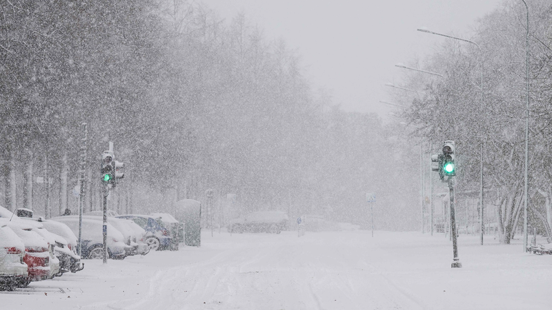 ❄️ Arctic Freeze Paralyzes Europe: Travel Chaos & Subzero Alerts