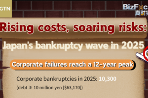 Japan’s 2025 Bankruptcy Wave: Small Firms Hit Hardest 📉