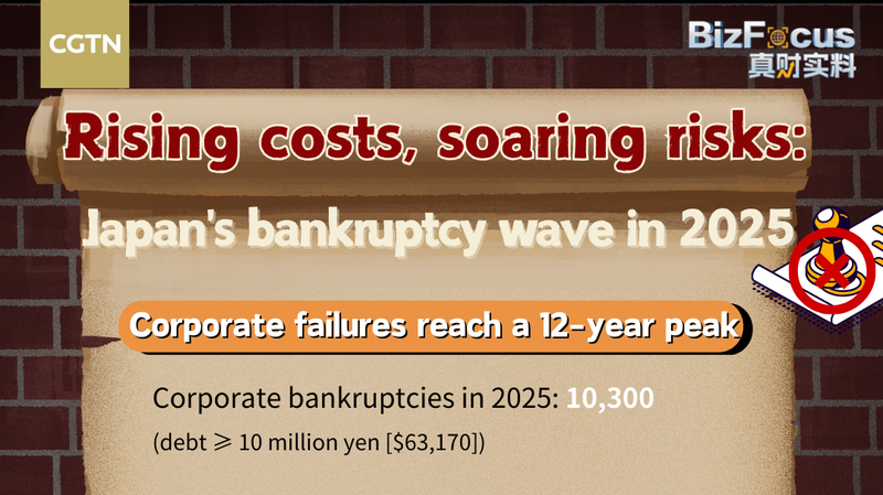 Japan’s 2025 Bankruptcy Wave: Small Firms Hit Hardest 📉