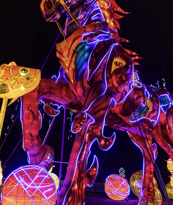 Hefei Lantern Fair 2026: Where Tradition Meets Tech 🏮✨ video poster