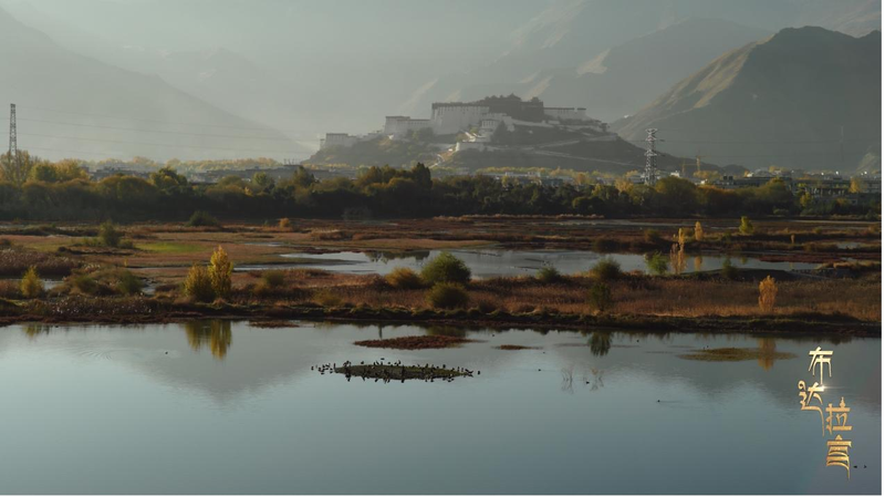 Lhalu Wetland: Lhasa’s High-Altitude Eco Success Story 🌿
