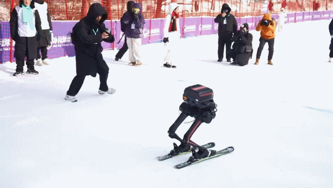 ❄️ Robots Hit the Slopes in Changchun’s Freezing Tech Showdown!