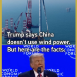 Trump's Wind Power Claim Clashes With China's Green Energy Reality 🌬️🇨🇳 video poster