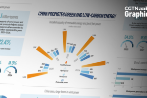 China Dominates Global Wind Power for 15 Years Straight 🌬️🌍