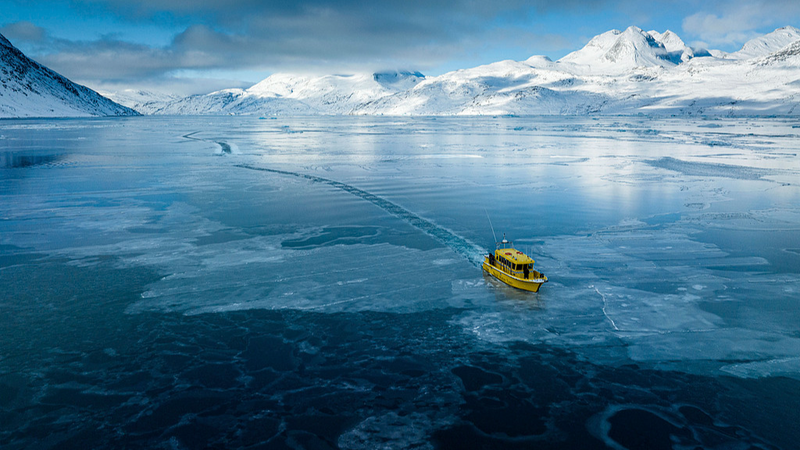 Trump’s Greenland Gambit: Arctic Resources in Spotlight 🌍❄️