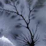 Rare 'Ice Woods' Frost Over Xinjiang River in Stunning Winter Display ❄️🌳 video poster