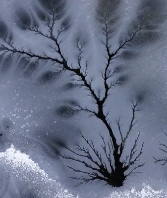 Rare 'Ice Woods' Frost Over Xinjiang River in Stunning Winter Display ❄️🌳 video poster