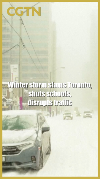 Toronto Grinds to Halt as Winter Storm Shuts Schools, Disrupts Flights ❄️ video poster
