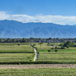 China's Green Revolution: 9 Regions Show Major Eco Gains 🌱📈