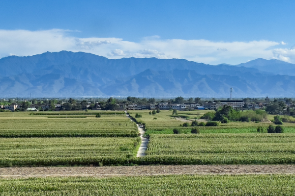 China's Green Revolution: 9 Regions Show Major Eco Gains 🌱📈