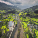 🌼 Winter Blooms: Sichuan's Rapeseed Flowers Defy Seasons! video poster