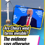 China's Wind Power Surge Debunks Trump's Claims 🌬️🇨🇳 video poster