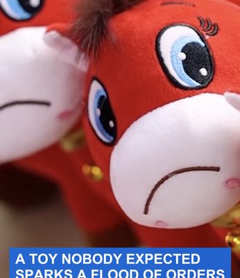 Viral 'Sad Horse' Plush Sparks 2026 Toy Craze in China 🐴💥 video poster