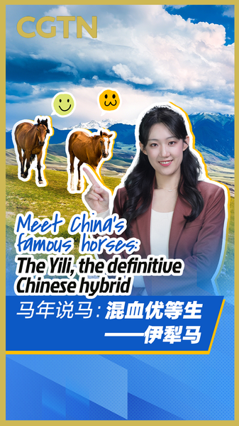 ZQBGE9MTVNO7RJD1RR3P - 🌍NewspaperAmigo – Your Global News Buddy 🗞️ Meet China's Yili Horse: The Hybrid Breed Shaping Equestrian Heritage 🐎 video poster