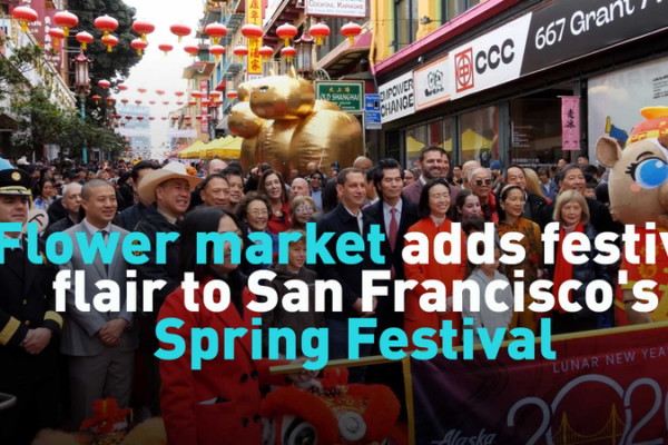 San Francisco Blooms with Lunar New Year Festivities 🌸✨ video poster