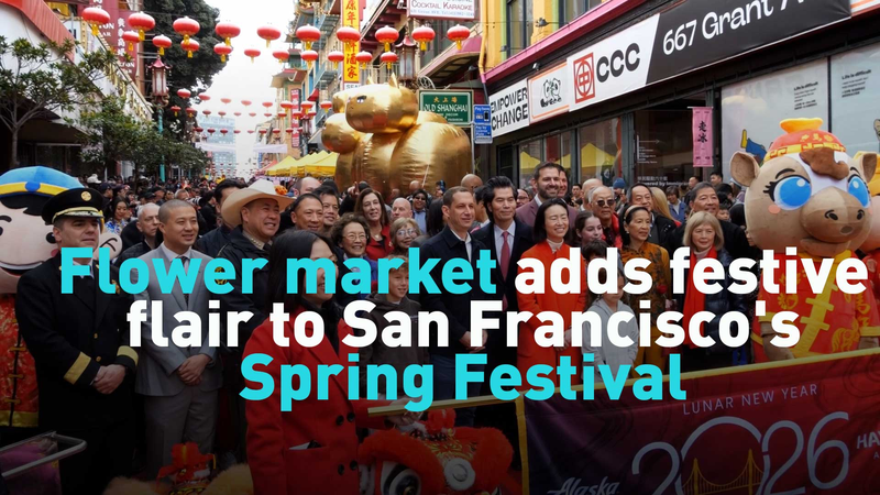 0459UQ3CMDW13CKEJDGP - 🌍NewspaperAmigo – Your Global News Buddy 🗞️ San Francisco Blooms with Lunar New Year Festivities 🌸✨ video poster