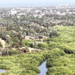 US Exit from Paris Pact Stalls African Climate Efforts 🌍🔥 video poster