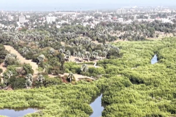 US Exit from Paris Pact Stalls African Climate Efforts 🌍🔥 video poster