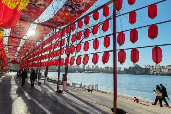 Winter Blues & Lantern Hues: Spring Festival Vibes in Ningxia ❄️🏮