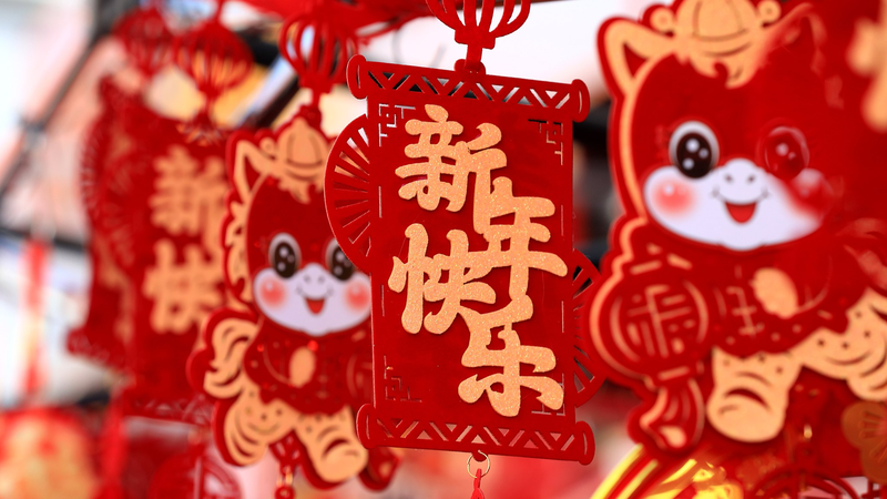 Global Leaders Unite in Year of the Horse Greetings to China 🐎🌍