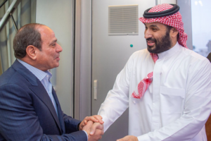 Egypt & Saudi Arabia Push Gaza Ceasefire, US-Backed Peace Plan in 2026 🌍✌️