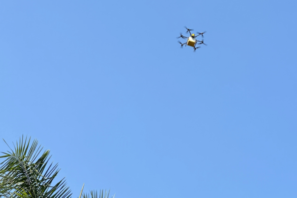 Shenzhen Parks Embrace Drone Deliveries in 2026 🌿🚁