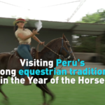 Peru's Paso Horses Trot into 2026's Year of the Horse 🐎✨ video poster