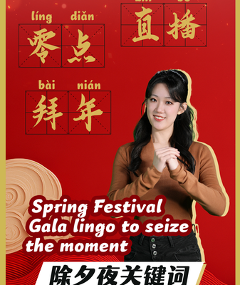 Master the Spring Festival Gala Lingo Like a Pro 🐎✨ video poster