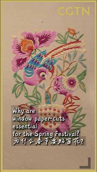Window Paper-Cuts: Spring Festival’s Blooming Tradition 🌸✂️ video poster