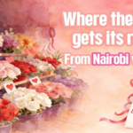 Nairobi’s Flower Power: How Kenya Blooms for Valentine’s Day 🌹 video poster