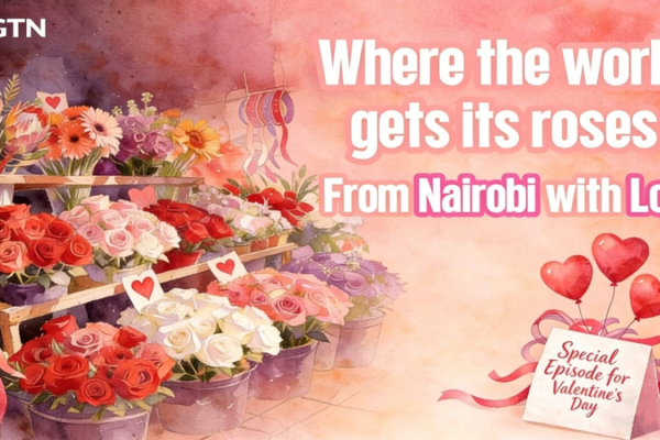 Nairobi’s Flower Power: How Kenya Blooms for Valentine’s Day 🌹 video poster
