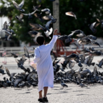 Global Unity vs. Survival of the Fittest: Humanity's 2026 Crossroads 🌍